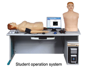 心肺の 聴診 の人体摸型、医学のシミュレーション装置との物理的な診断