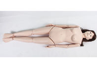 実物大の術前の無菌処理のシミュレーションの人体摸型モデル