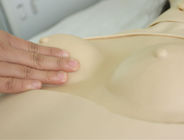 高度の完全な機能ポリ塩化ビニールの看護の人体摸型完全なボディ女性の訓練の人体摸型