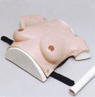 胸の腫瘍の検査のための女性の上体の病院のシミュレーターの modreate のサイズ胸
