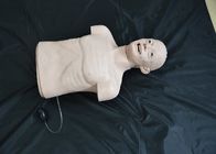 解剖陸標が付いている年配CPRのシミュレーターの人体摸型