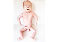 大学訓練の挿管法機能ポリ塩化ビニールの赤ん坊の人体摸型