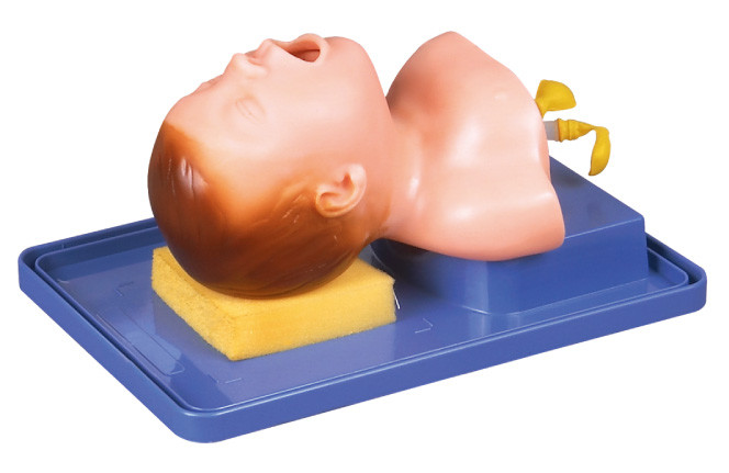 気管の挿管法の訓練のためのヘッド解剖学を用いる現実的な新生児