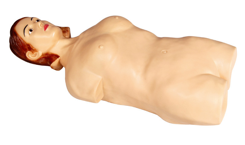 女性の半ボディ大学、病院の学習のための腹部の触診のシミュレーターの人体摸型
