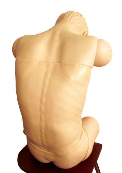 胸部、腰神経穿刺の臨床シミュレーターはモデル位置の教育の人体摸型を anteverted
