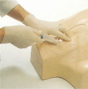 IV、subclavian 頸部、胴の臨床シミュレーション同僚のための大腿部静脈の穿刺の訓練