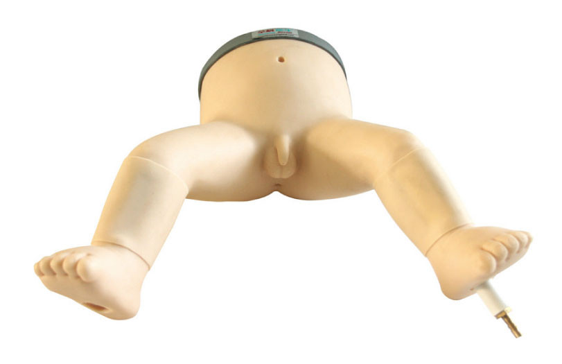 骨髄の穿刺の訓練、赤ん坊のシミュレーションのための赤ん坊の足を搭載するデラックスな幼児