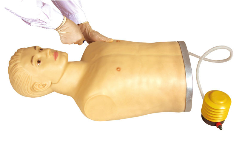 セリウムが付いている UNFPA の製造者の気胸のシミューレータ訓練の人体摸型は承認しました