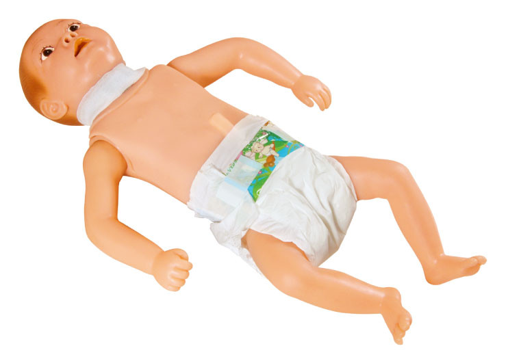 気管切開術を用いる年長の赤ん坊のシミュレーター/小児科のシミュレーションの人体摸型