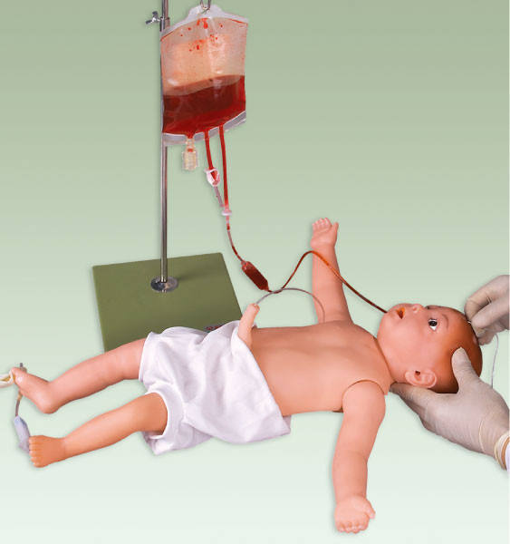 静脈の血管および皮が付いている小児科のシミュレーションの人体摸型/赤ん坊の注入モデル