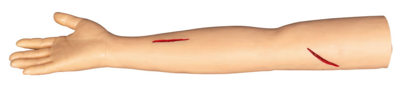 腕の colleage、病院の切れ、縫合のための外科訓練モデルを縫合して下さい