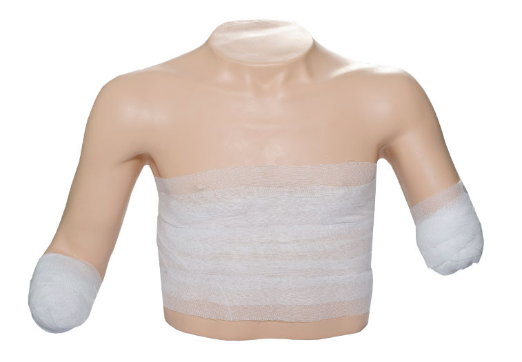 柔らかい接触を用いる外科訓練モデルに包帯をする優秀な位置