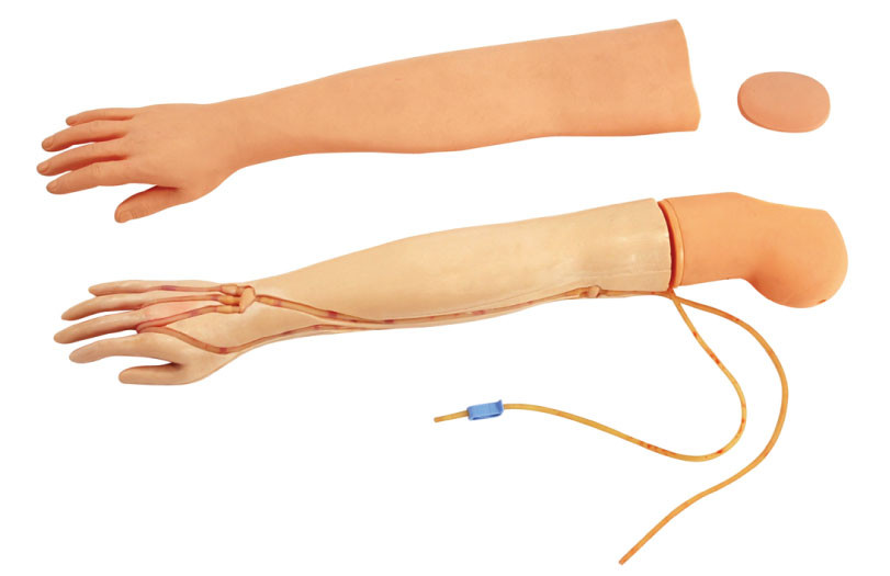 GD/HS2 衛生学校に使用する多機能の Venipucture の注入および注入の腕