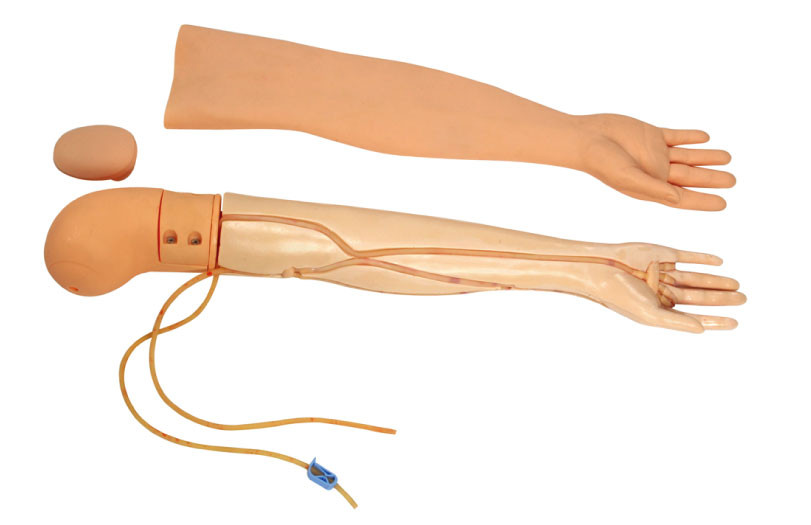 Venipucture の多機能の穿刺および注入は看護の人体摸型 GD/HS3 を武装させます