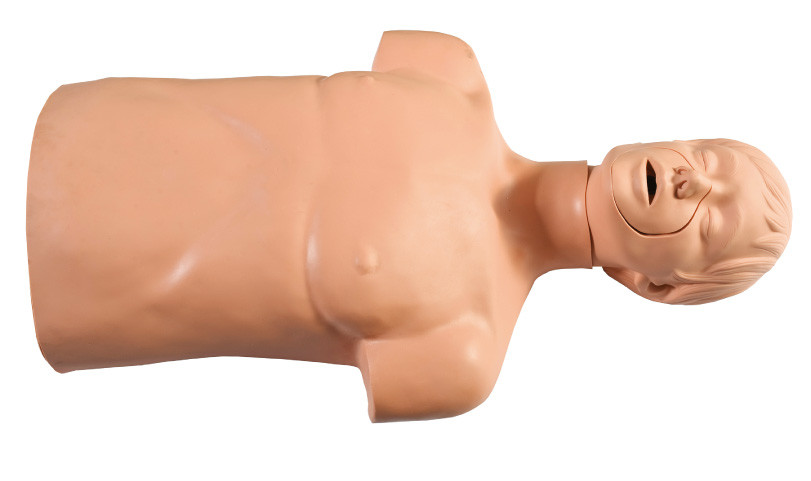 環境保護ポリ塩化ビニール CPR 操作の練習のための半ボディ救急処置の人体摸型