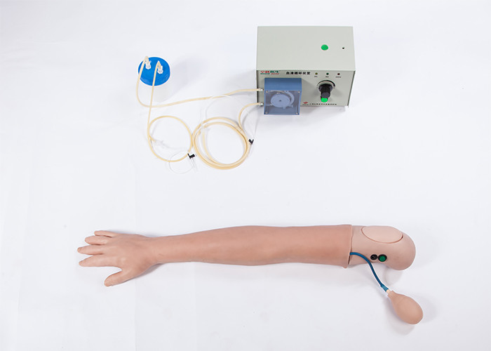 高度ポリ塩化ビニールは人間のhemodialysisの腕の訓練モデルを模倣しました
