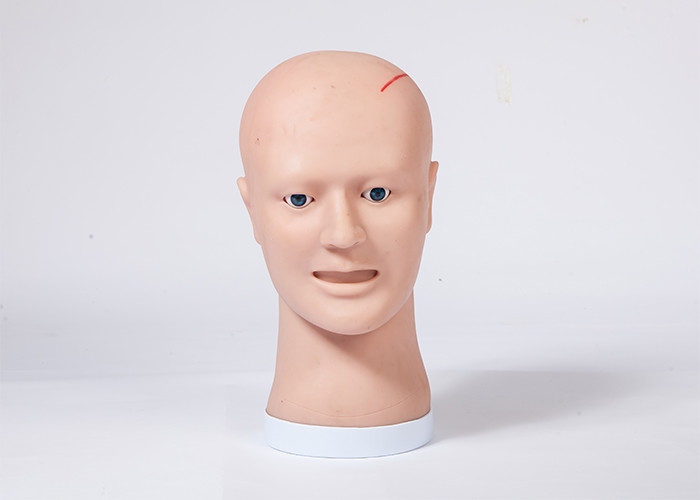 デブリードマンおよび縫合の訓練/教授の臨床シミュレーション人間の頭モデル