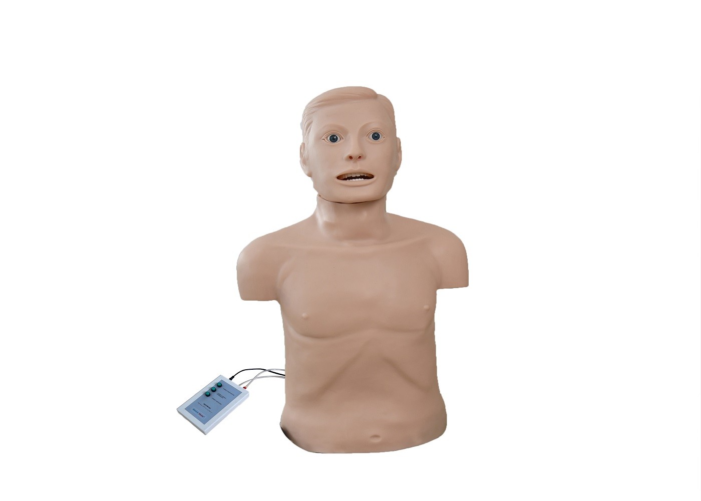 大人の半分ボディ挿管法CPR救急処置の人体摸型