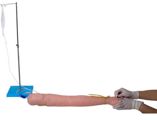 ベールのVenipunctureの多腕を訓練するリアルな病院