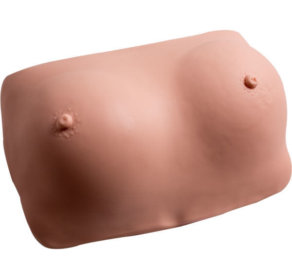ポリ塩化ビニール身につけられる胸の検査の婦人科のシミュレーター