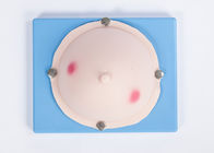 乳房女性/胸の膿瘍の検査の婦人科のシミュレーターのセリウム/SGS