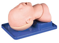 幼児気管の挿管法の訓練のための頭部が付いている幼児航空路管理