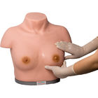 ポリ塩化ビニール胸の検査のシミュレーターの点検触診