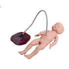 臍の緒が付いているSGSポリ塩化ビニールの訓練の赤ん坊の生れのシミュレーター