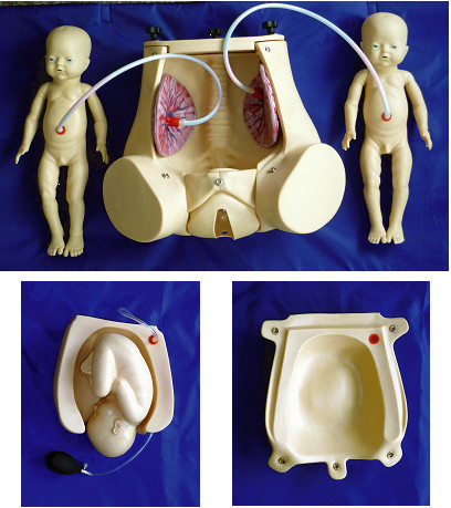 産科学の技術のデモンストレーションのための胎児の胎盤が付いている自然な出産のシミュレーター