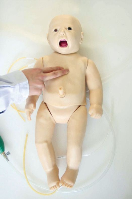 新生児の緊急の技能訓練のための航空路管理が付いている小児科のシミュレーションの人体摸型