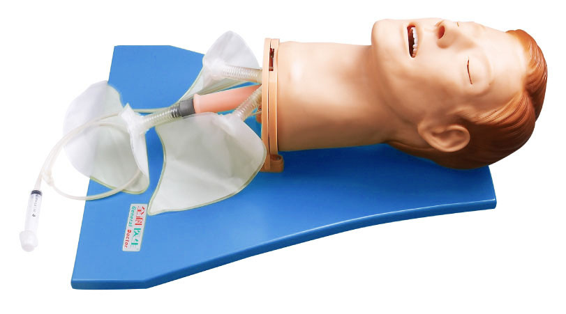 observe 肺呼吸動きの訓練のための EMS のシミュレーター/航空路の訓練の人体摸型