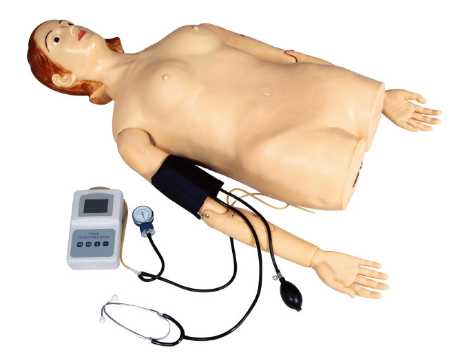 学校、病院のための血圧の測定を用いる女性の半ボディ触診のシミュレーター