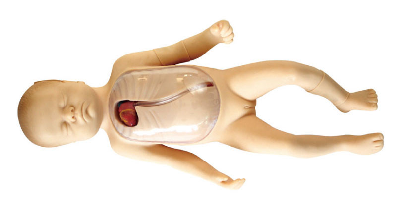 周辺に挿入された中央カテーテルの子供のシミュレーションを用いる新生児の人体摸型