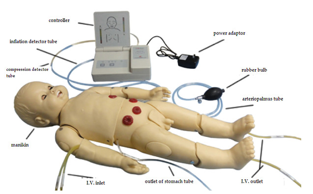 聴診 のシミュレーターは ECG の発電機が付いている置きましたり/小児科のシミュレーションの人体摸型