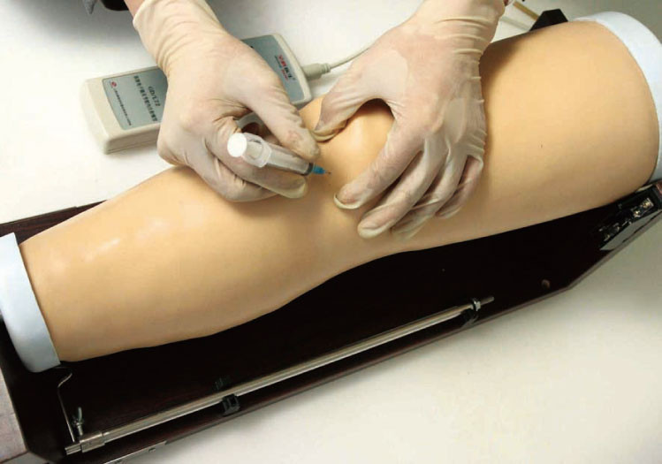 電子膝関節の intracavitary 注入のシミュレーター、医学モデル
