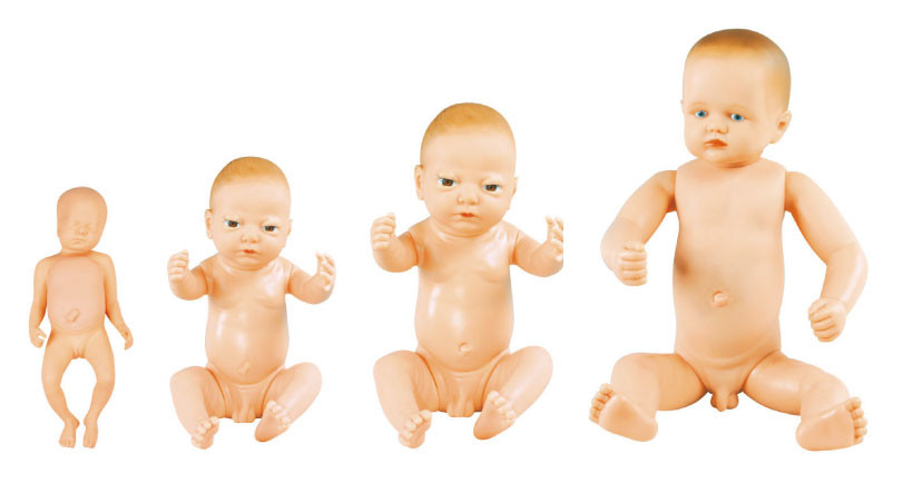新生の赤ん坊の人形の臍の緒、幼児シミュレーションが付いている小児科のシミュレーションの人体摸型