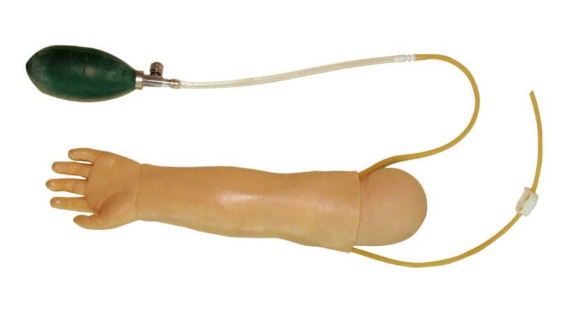 学校の穿刺の訓練のための放射状動脈が付いている幼児左の腕モデル