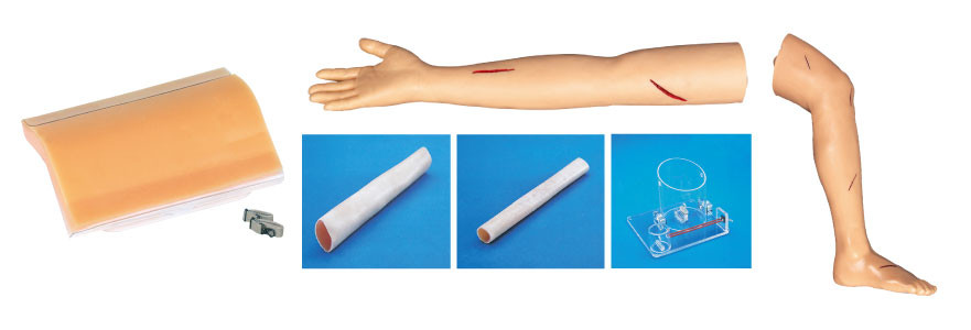 学生の教育のための大人の縫合線の足および腕のキットの外科訓練モデル