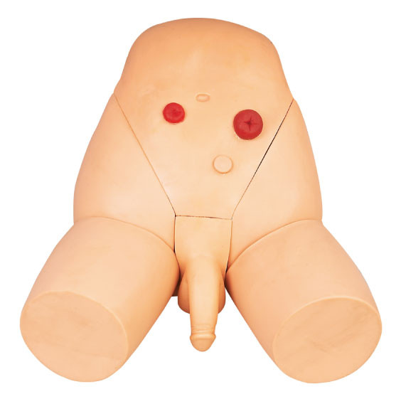 OEM の訓練のための高度の男性の 尿道の カテーテル法のシミュレーターの看護の人体摸型