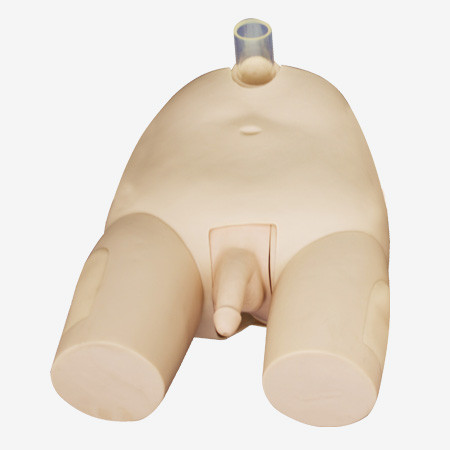 高度の男性のぼうこうの穿刺のシミュレーターの看護の人体摸型の教育装置