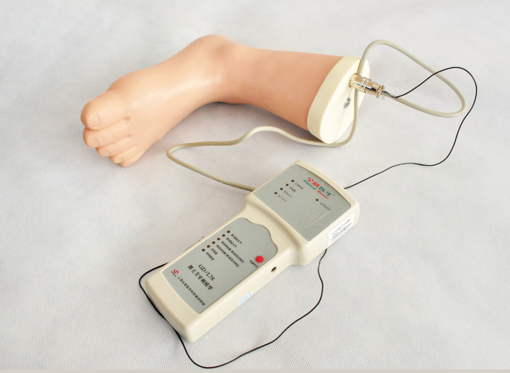 解剖構造のフィートの足首の注入の臨床シミュレーションの訓練用具
