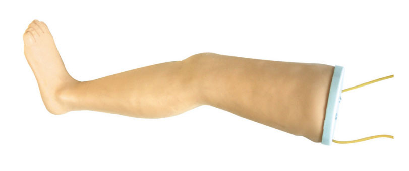 穿刺、注入のための看護の人体摸型を模倣する静脈内の注入の足