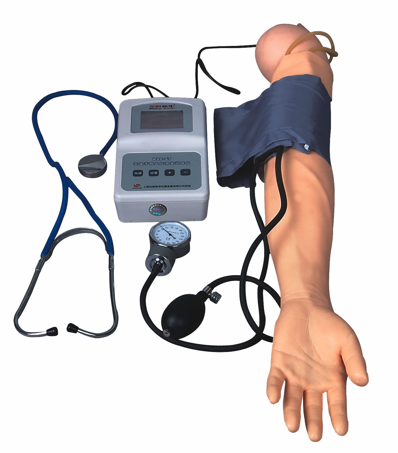 医学の大学および学校のための練習の血圧モデルが付いている BP の測定の腕