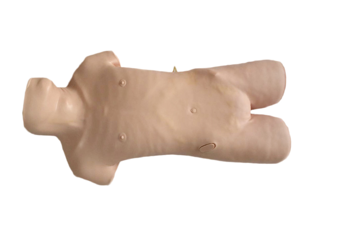 穿刺の練習のための現実的な上体の臨床シミュレーションの abdominocentesis の人体摸型