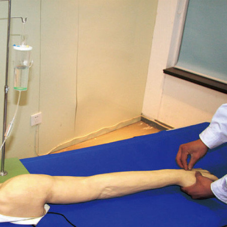 看護の大学のための全機能 静脈穿刺 の訓練の腕、iv の練習の腕