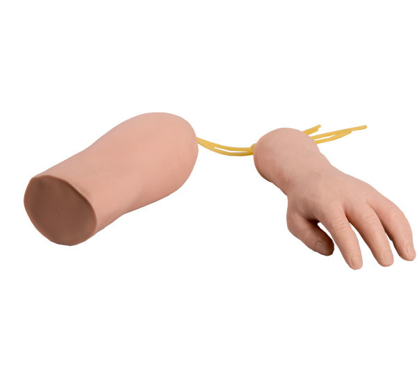 大人の訓練のためのポリ塩化ビニール手の肘の看護の人体摸型