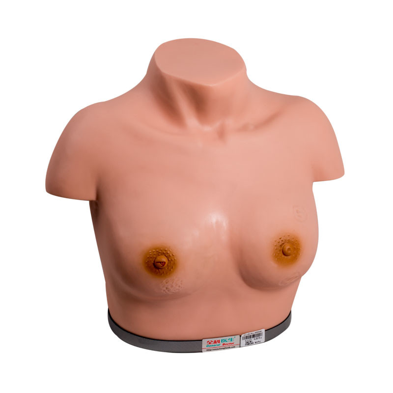 訓練のための点検触診胸の婦人科のシミュレーター