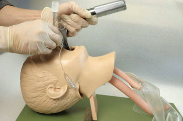 子供の口、咽頭、挿管法の訓練のための Tracheafor が付いている現実的な解剖構造