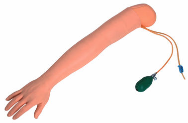 学校学生の訓練のために設計されている不融性 Aeteries の動脈の穿刺の腕
