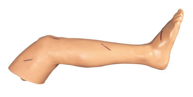 足の外科技能訓練の切断および縫合の訓練の人形を縫合して下さい